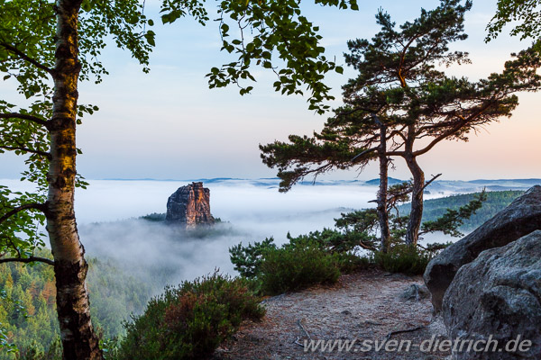 Falkenstein im Morgennebel