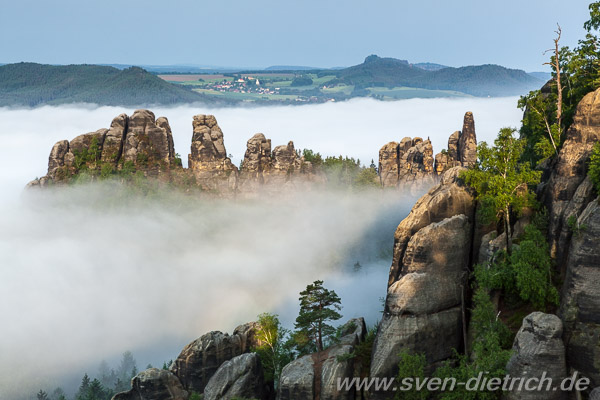 Schrammsteine im Morgennebel