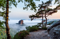 Falkenstein im Morgennebel