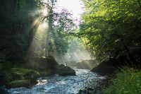 Sonnenstrahlen in der Edmundsklamm