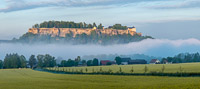 Festung Knigstein im Morgennebel